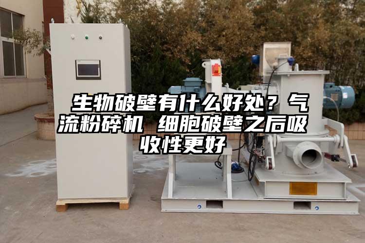  生物破壁有什么好處？氣流粉碎機(jī) 細(xì)胞破壁之后吸收性更好